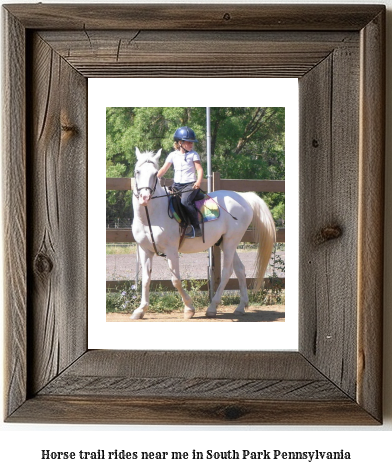 horse trail rides near me in South Park, Pennsylvania